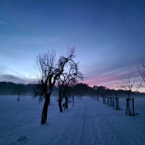 Winter Altenoer Weg_3