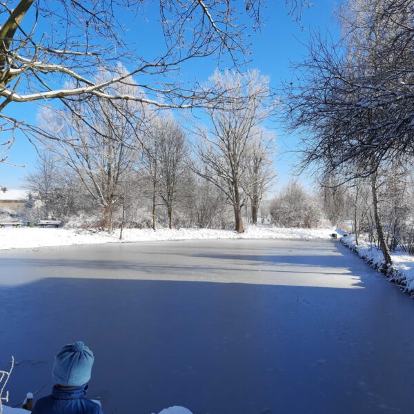 Winter am Dorfteich