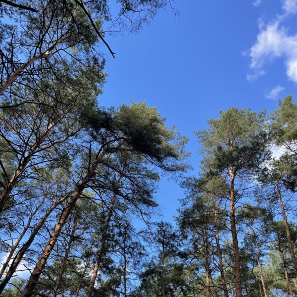 Groß Radden 09_2022