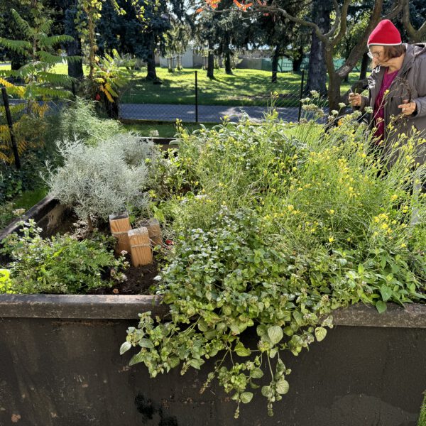 Arbeitseinsatz_10_2024_6